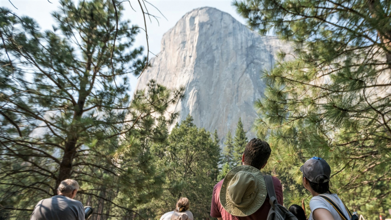 It's hard not to look up when you're surrounding by towering trees and sky-scraping cliffs. The grant-funded Ask a Climber program enhances your Yosemite granite-gazing through opportunities to zoom in on the walls and learn from climbing rangers. Photo: RV Project/Spenser Tang-Smith