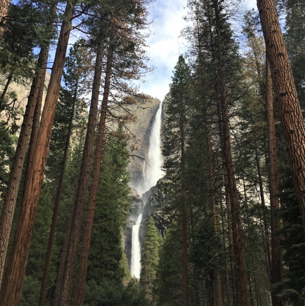 Yosemite Falls, by Alexa Ward