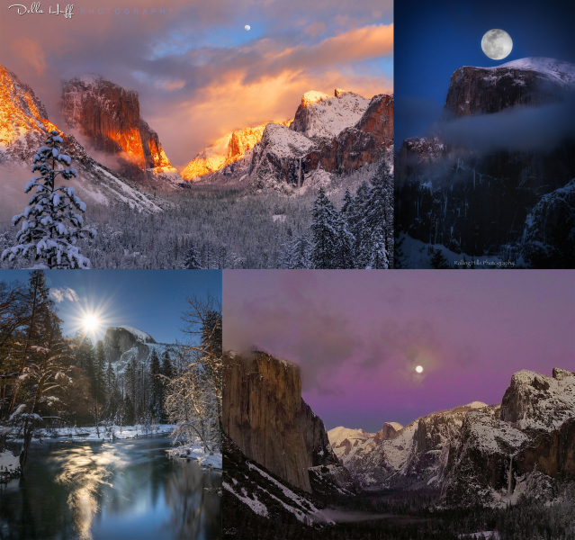 Moonlit magic in the Valley. <br>Clockwise, from top left: Della Huff; Robert Pick; Jacqueline Cervantes; Ryan Fitzsimons.
